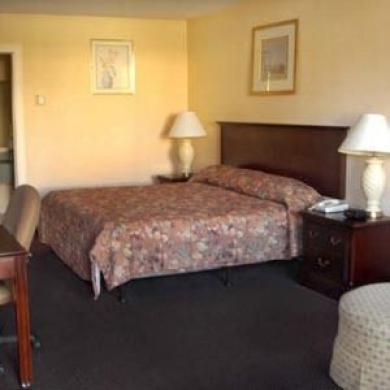 Super 8 By Wyndham Dover Quarto foto